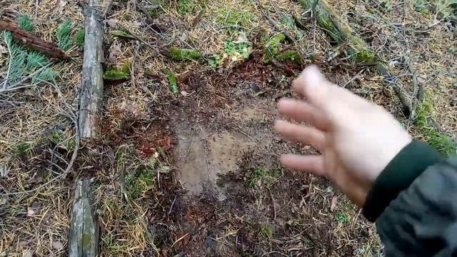 Хобби автоангарыча...невезучий кладоискатель...