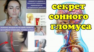 Рост давления в сосудах шеи, мозга и глаз ведёт к глаукоме, деградации ума. Поможет сонный гломус