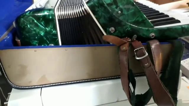 Хотели купить баян, но купили аккордеон. 🙂🔥Как проходила наша покупка? 🔥#аккордеон #покупки смотреть онлайн