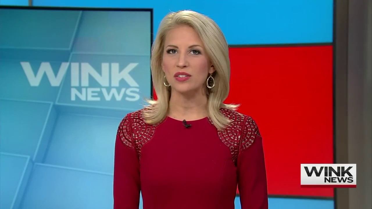 Amanda Hall WINK News смотреть онлайн