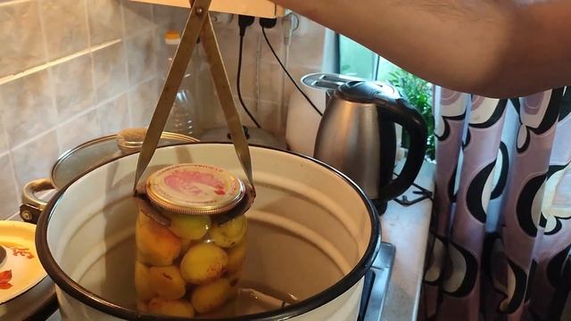 Забавные эксперименты с наукой