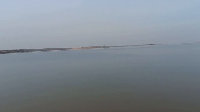 Идёт нерест рыбы 🐟🐬🤝 смотреть онлайн
