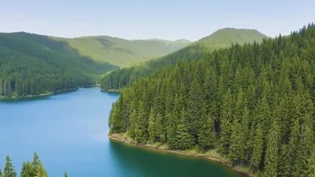 BETTER TO TRUST GOD THAN MAN | 27th June | SPDD смотреть онлайн