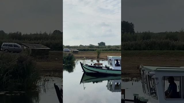 Mystical Tales of Dutch Folklore смотреть онлайн