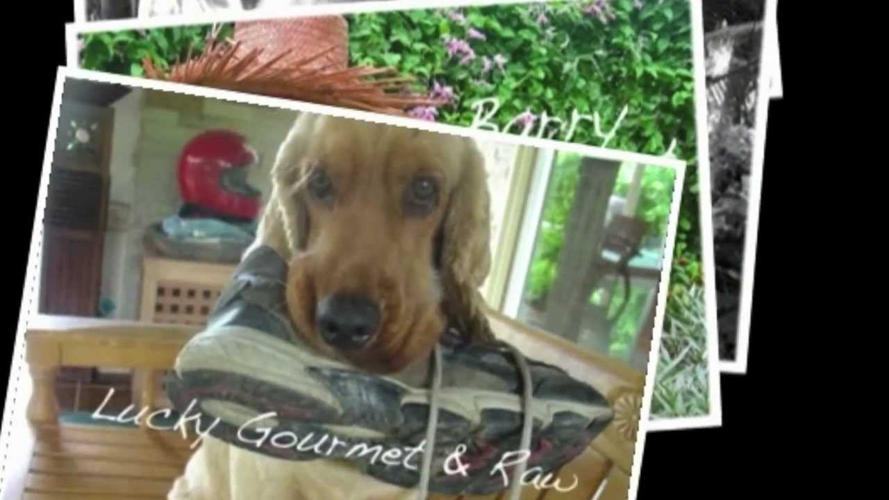 Garden Villa Phuket Experience смотреть онлайн