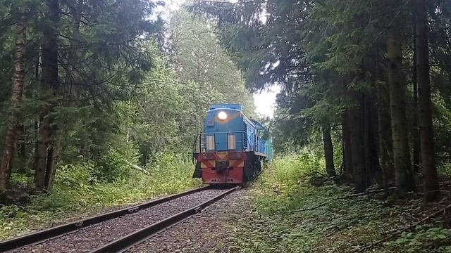 тепловозы ТЭМ2-2757 и ТЭМ2-1327 с грузовым составом смотреть онлайн