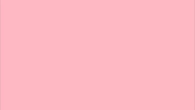 Pink Screen — Ballet Slipper Pink Color — One Hour Pink Screensaver — LED (Full HD) (@brainkeys)