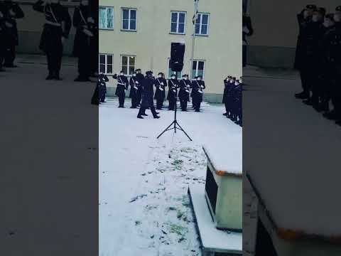 #kompanieübergabe #wachbataillon #bundeswehr #german #army #history #music #march #military #soldie смотреть онлайн