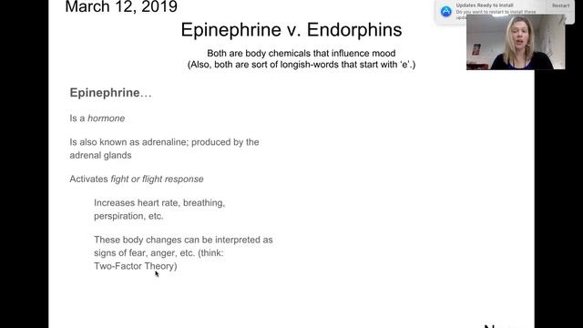 Term Pair Epinephrine v Endorphins смотреть онлайн