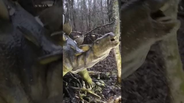 дино парк етно-мир смешной диалог с динозаврами 💩 смотреть онлайн