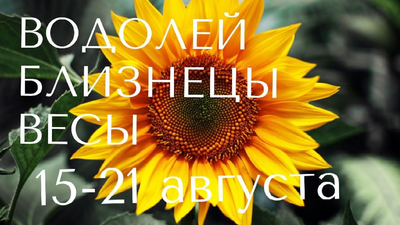 ТАРО ПРОГНОЗ НА НЕДЕЛЮ С 15 августа по 21 августа #алиятаро #водолей #близнецы #весы022 г. смотреть онлайн