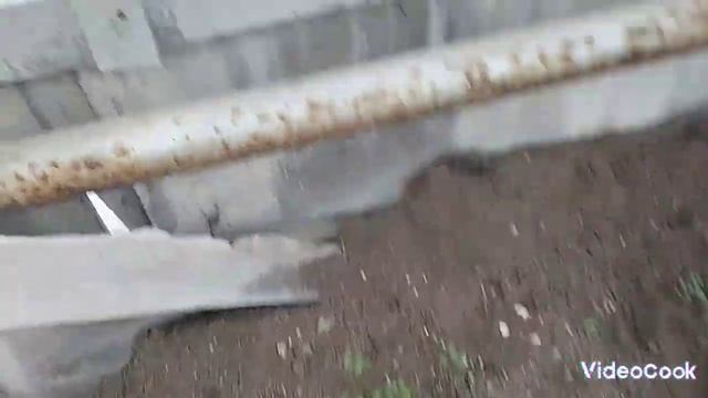 Это главное при выращивании растений. Что произошло с моими арбузами. смотреть онлайн