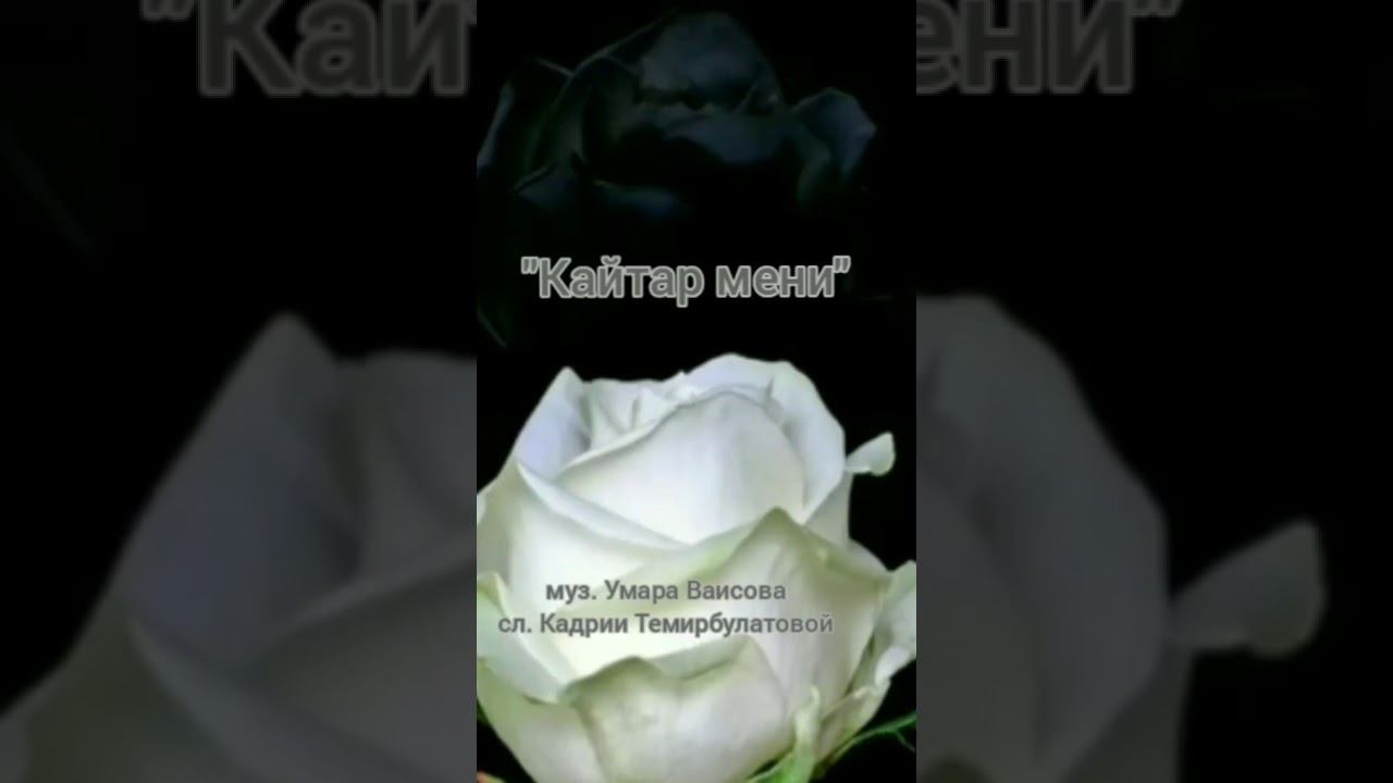 песни на ногайском языке.