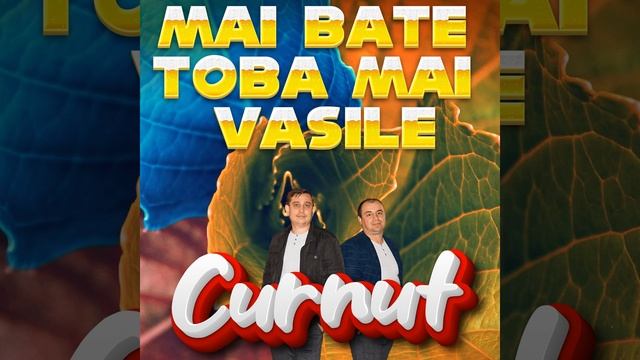Mai bate toba mai Vasile смотреть онлайн