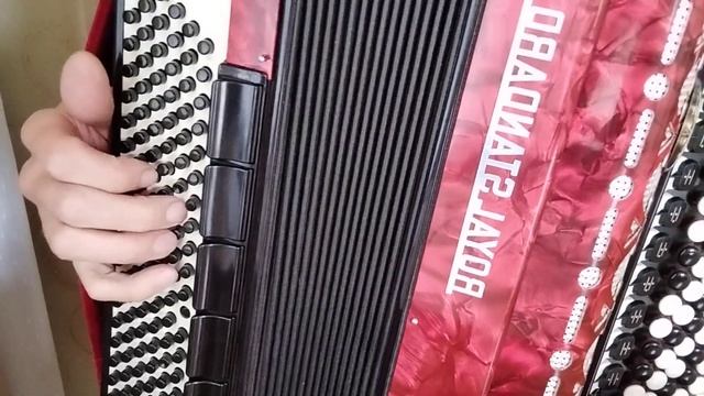 Баян Рояль Стандарт 89373651154 смотреть онлайн