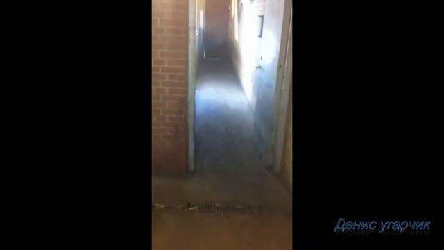 лучшие приколы | ТЕСТ НА ПСИХИКУ НЕ СМЕЙСЯ ЧЕЛЛЕНДЖ #1 смотреть онлайн