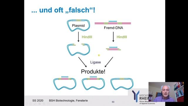 BSH Biotechnologie - Restriktionsenzyme, DNA Klonierung, CRISPR/Cas