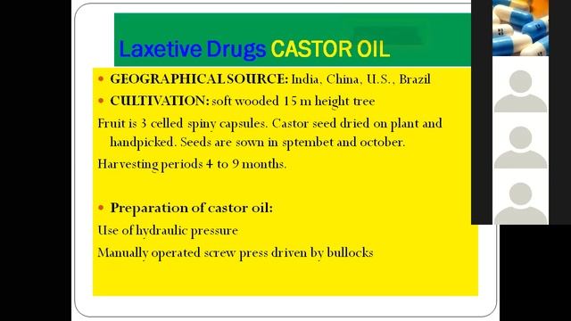 LAXATIVE CASTOR OIL AND ISAPGHULA PART 1 смотреть онлайн