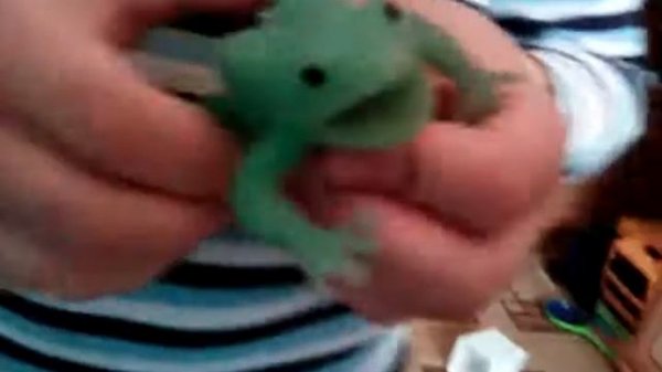 Обзор на лягушки и Ко новая версия с моим братом