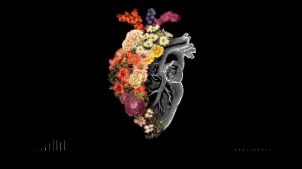 Amin Rostami - Neshooni