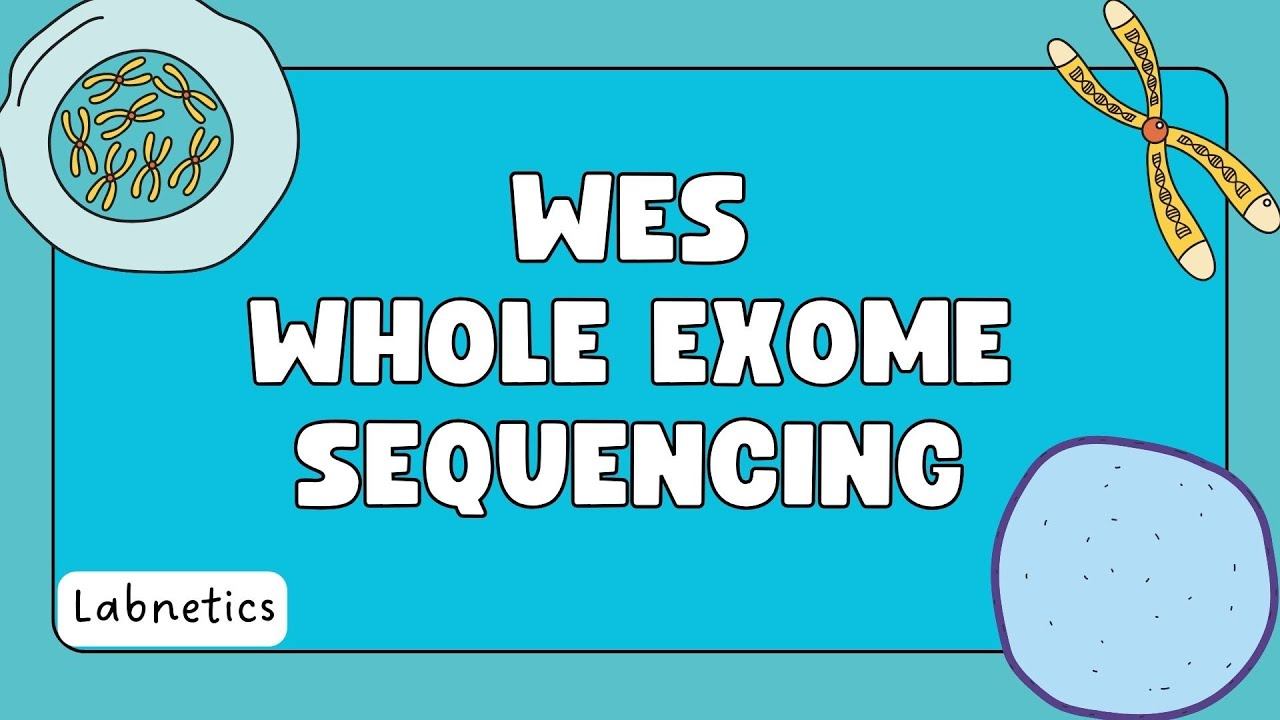 WES (Whole Exome Sequencing | Genetic Testing | Labnetics смотреть онлайн