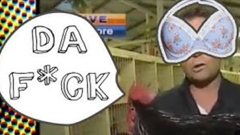 Reporter Vs Rooster REMAKE _100 Boobs_ | EeOneGuy