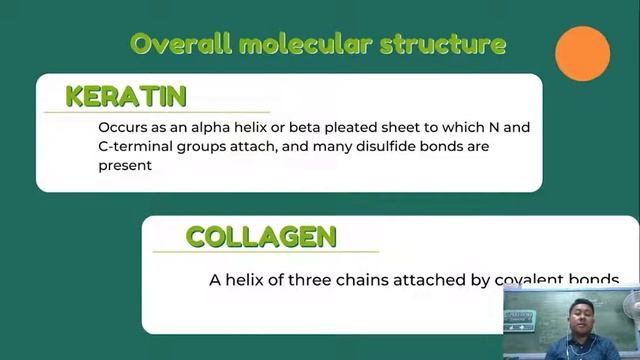 Features of Keratin and Collagen #protein #keratin #collagen смотреть онлайн