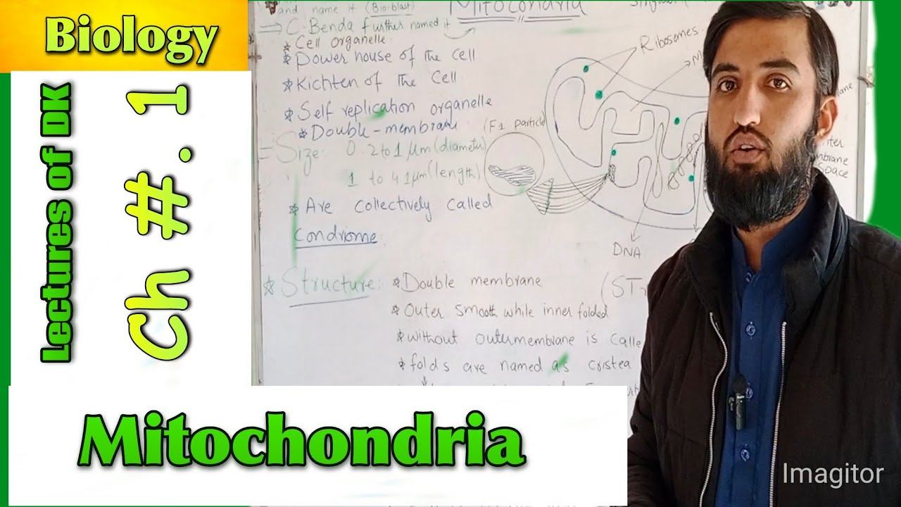 #viral #10th #biology #knowledge# learning#short#youtubeshort#Rank смотреть онлайн