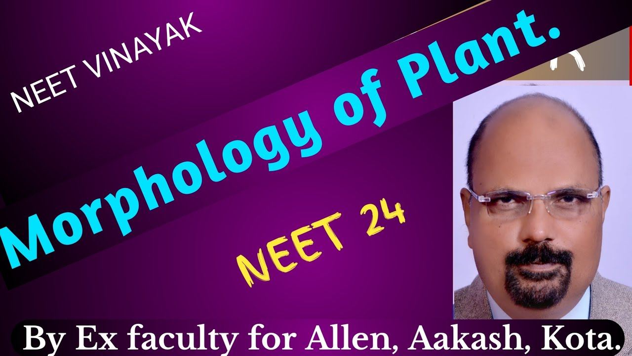 #morphology_of_flowering_plants ,#neet 2024 ,#neet #neetvinayak смотреть онлайн