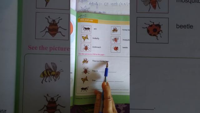 Class II English 29/05/2020 page 127 Activity on birds смотреть онлайн