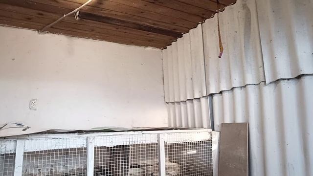 Приготовили сарай молодкам 🐤🐔Бесплатное мясо на зиму 🐥Живем в своем доме на Кубани🏡🦢🐤🐔 смотреть онлайн