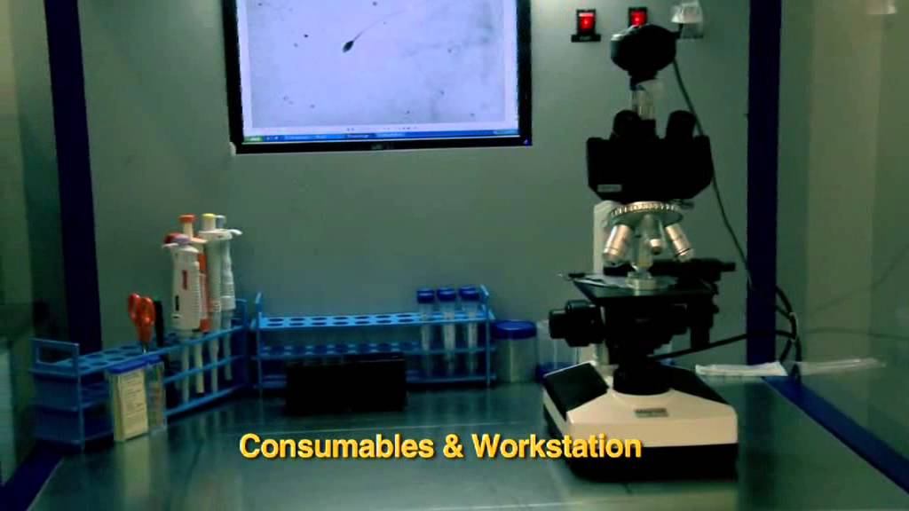 Genome The Fertility Centre- microscope with monitor смотреть онлайн