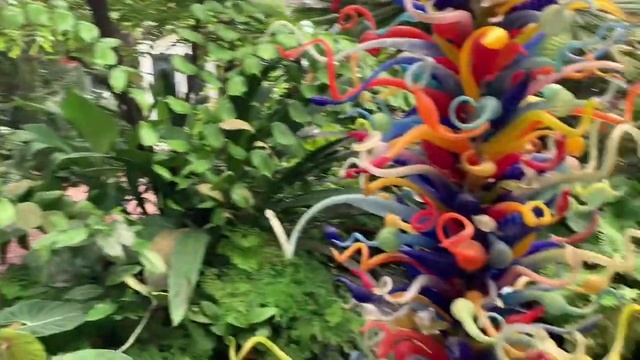 Fairchild’s Tropical Botanic Gardens Orchids In Bloom 2021 part 1 of 3 video journal. смотреть онлайн