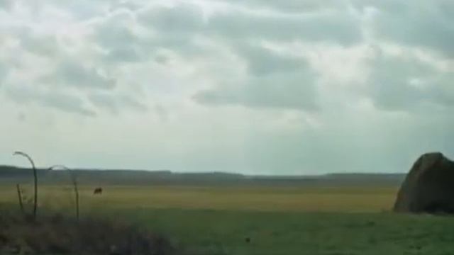 Не обещайте деве юной. Звезда пленительного счастья смотреть онлайн