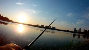 Спиннинг универсал  SALMO SNIPER SPIN 3 15 гр Отзыв спиннингиста