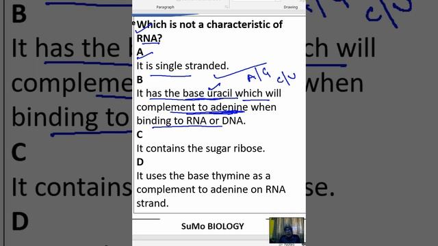Which is not a characteristic of RNA?AIt is single stranded.BIt has the base uracil which will смотреть онлайн