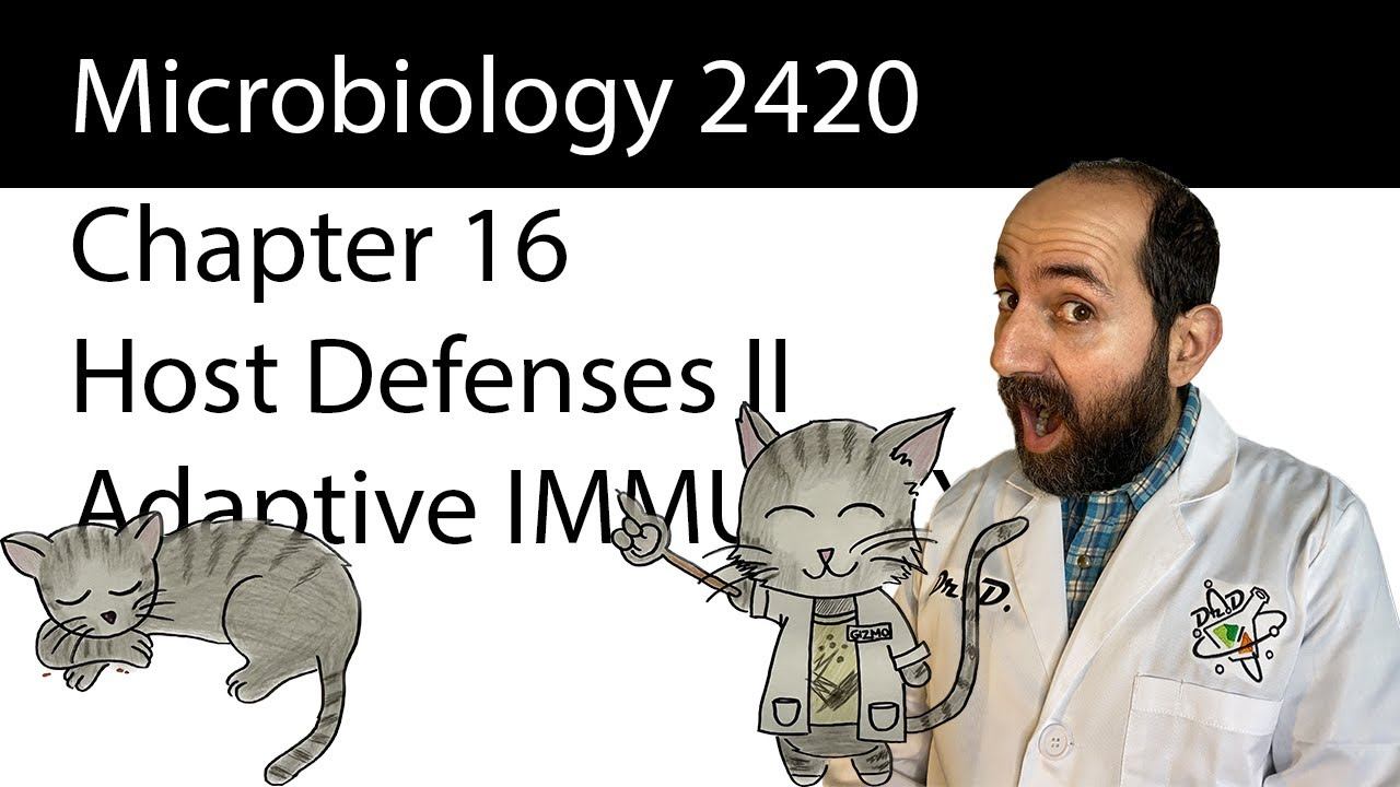Chapter 16 – Host Defenses II – Adaptive Immunity смотреть онлайн