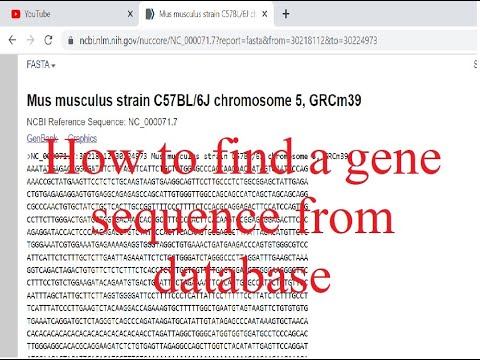 How to find a gene sequence from genomic data bases #genomics #bioinformatics #ncbi смотреть онлайн