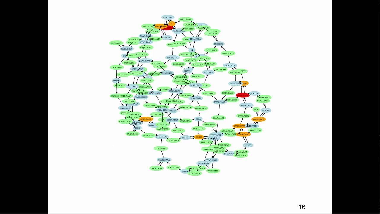 Introduction to Genome Assembly смотреть онлайн