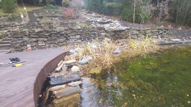 Вода в пруду в начале ноября  очень прозрачная . Палазна .