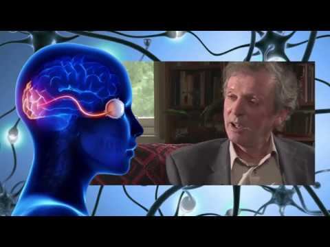 Руперт Шелдрейк ― Зрительное восприятие смотреть онлайн