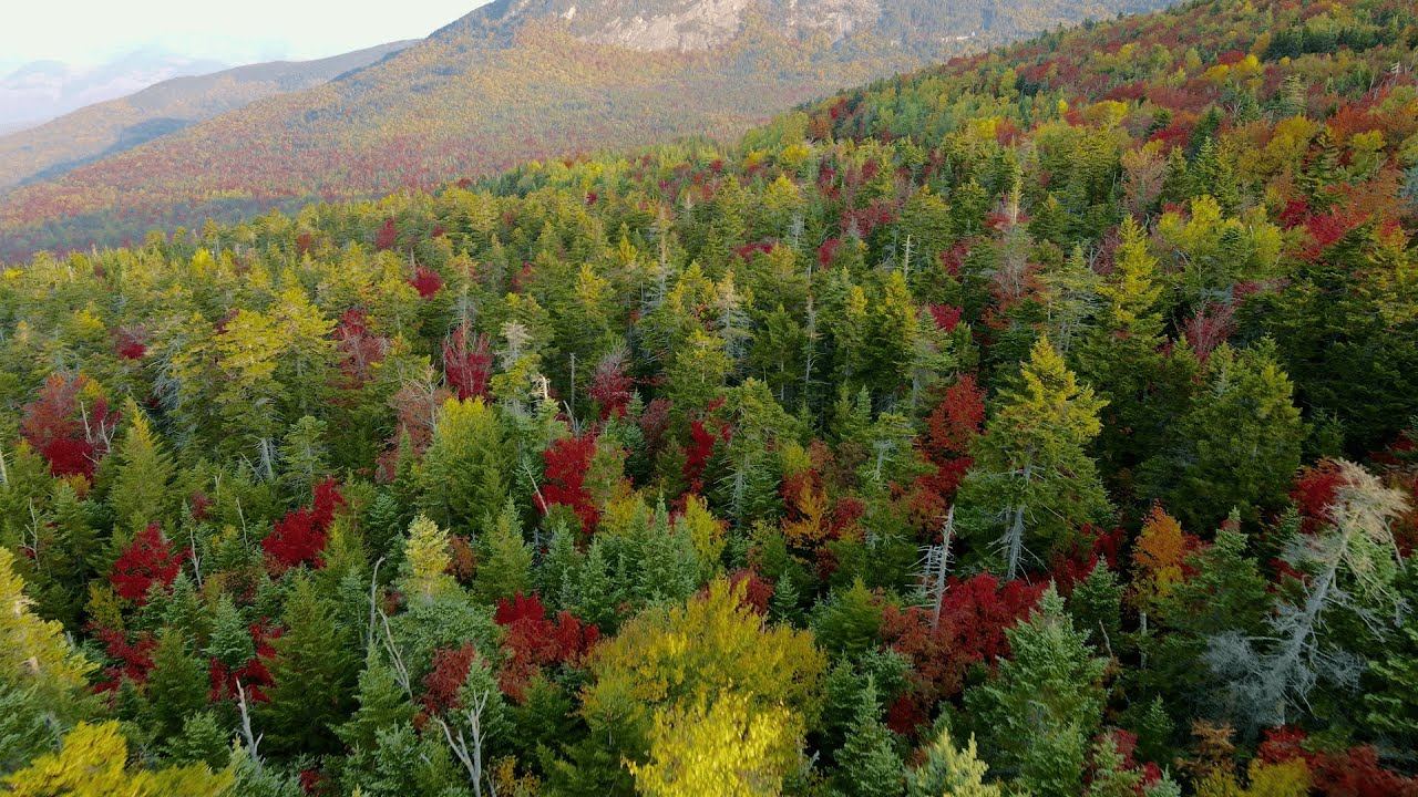 Beautiful areal view of landscape смотреть онлайн
