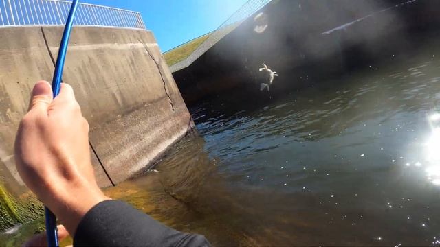 Spillway Fishing - Catching Bass and Crappie on Soft Plastic