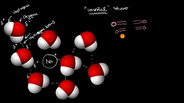 Importance of water for life | Chemistry of life | AP Biology | Khan Academy смотреть онлайн