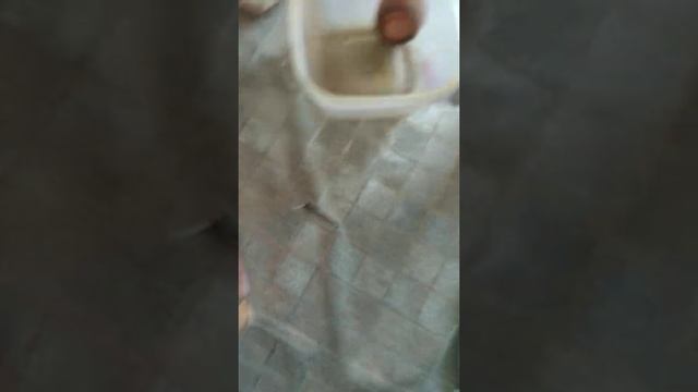 сендвич из тф2 смотреть онлайн