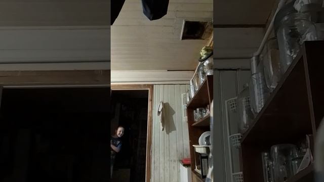 чай смотреть онлайн