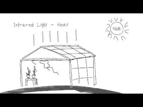 Green House Effect смотреть онлайн