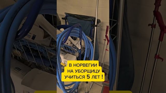 5 лет учиться на уборщицу в Норвегии смотреть онлайн