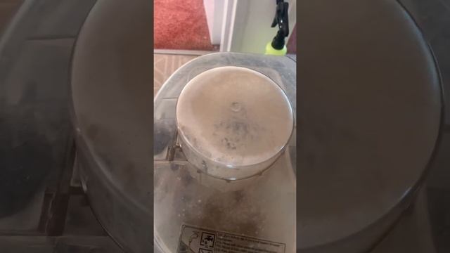 Karcher Puzzi 10/1 Carpet Deep Clean #cproworx смотреть онлайн