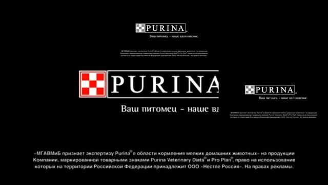 Purina Logo Sparta Remix TheKantapapa inspiron Veg смотреть онлайн